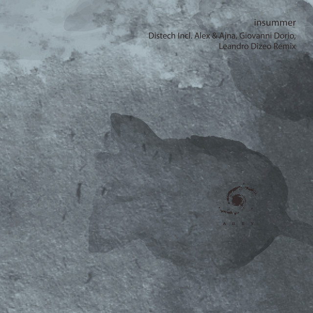 Distech - Leandro Dizeo Remix cover art