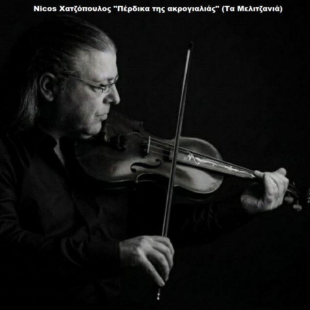 Nicos Χατζόπουλος "Πέρδικα της ακρογιαλιάς" (Τα Μελιτζανιά) album image