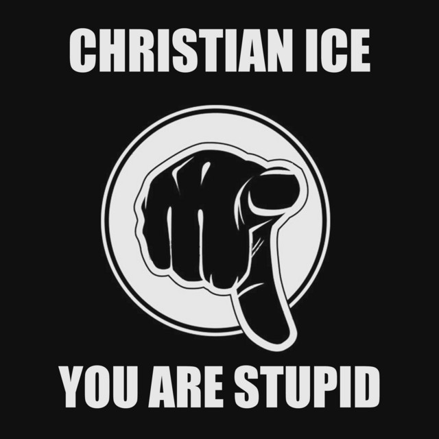 You Are Stupid cover