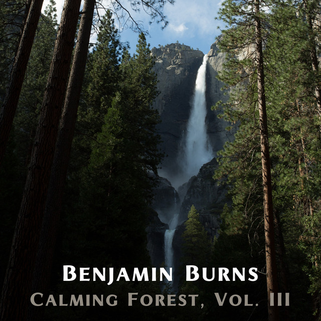 Calming Forest, Vol. III cover art