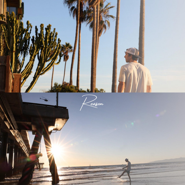 Reason cover art