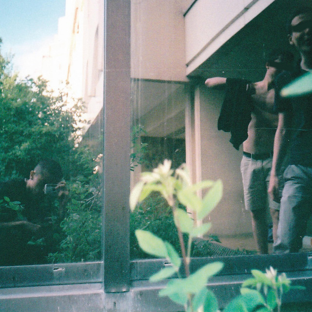 Jungle Fever cover art