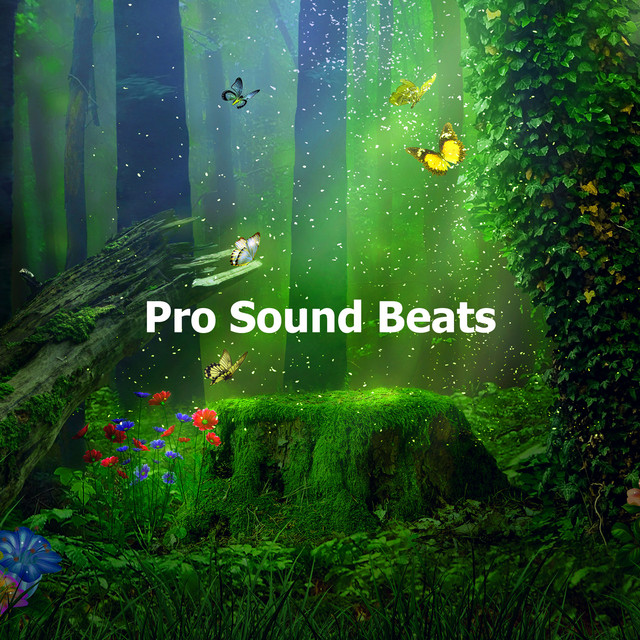 Pro Sound Beats ! ! ! ! ! - Album by Pro Sound Effects Library | Spotify