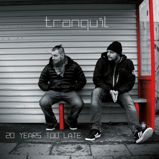 20 Years Too Late cover art