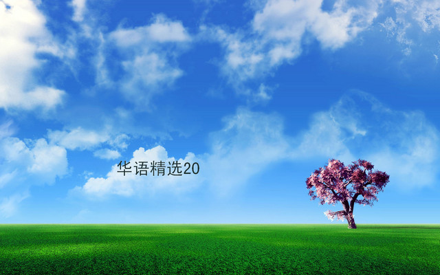 華語精選20 (Best Collection of Classic Chinese Songs 20