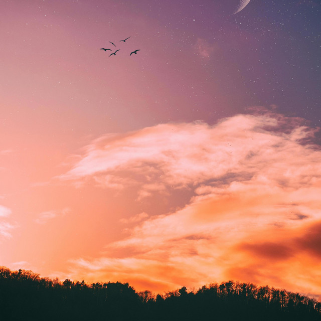 Pxly (Slowed & Reverb)