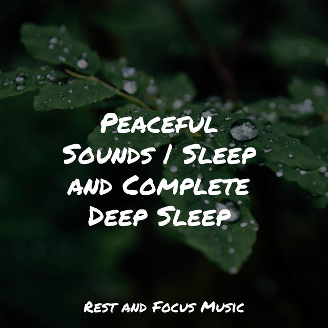 Peaceful Sounds | Sleep and Complete Deep Sleep - Album by Deep Sleep ...