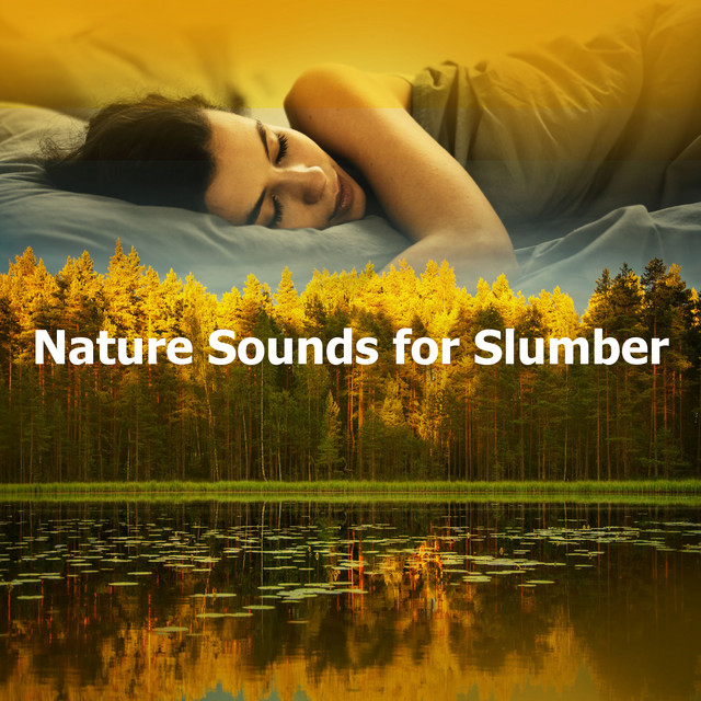 Fine Rain Amongst the Trees - song and lyrics by Nature Sounds for ...