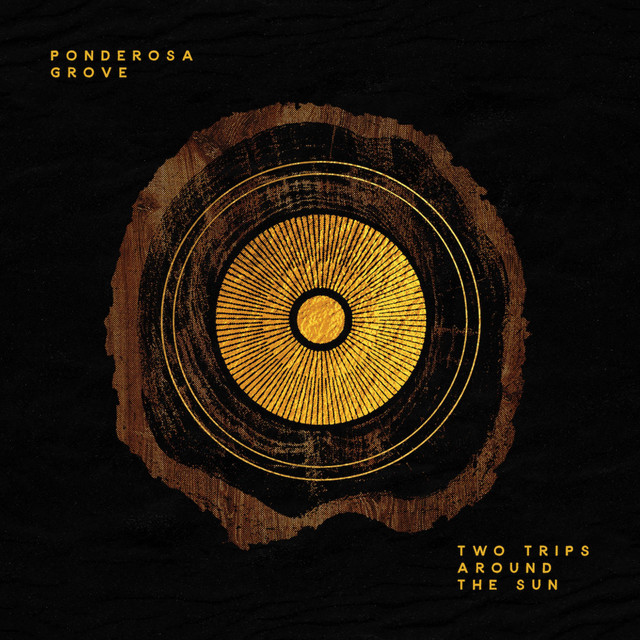 Two Trips Around The Sun cover art