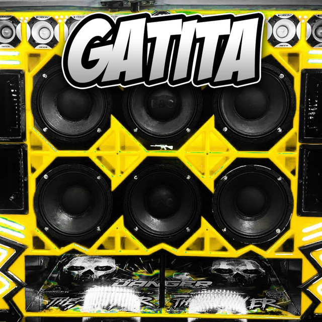 Gatita