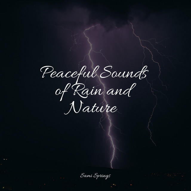 Peaceful Sounds of Rain and Nature cover art
