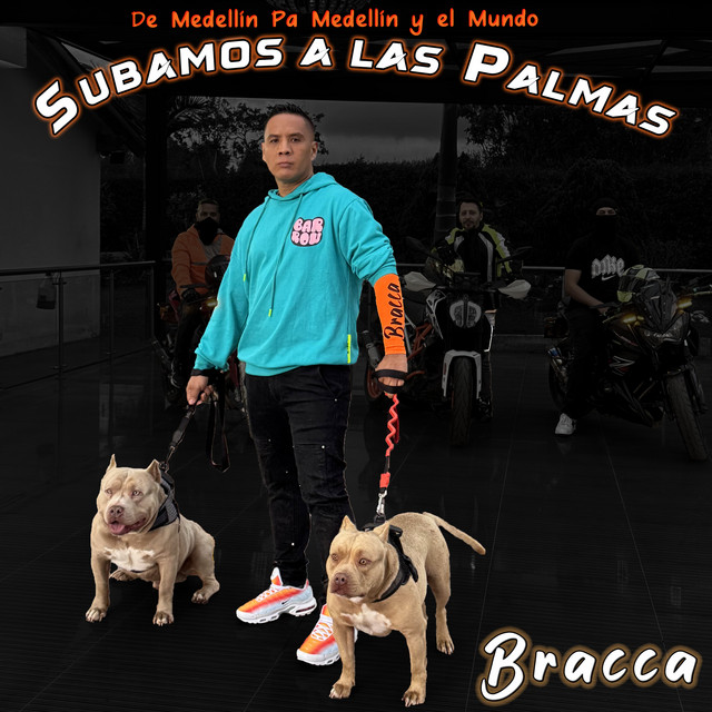Subamos a las Palmas