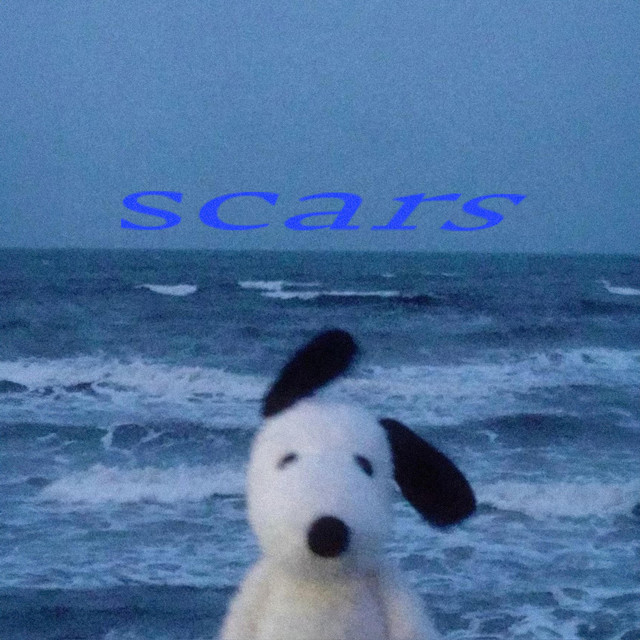scars cover art