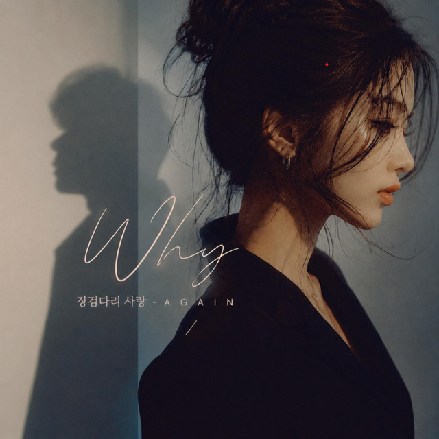 징검다리 사랑 cover art