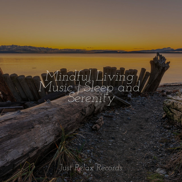 Mindful Living Music | Sleep and Serenity - Album by Alpha Waves | Spotify