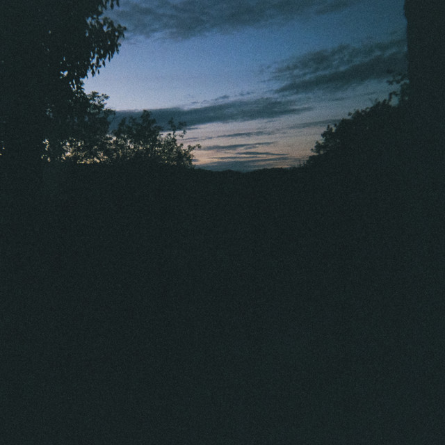Into The Night