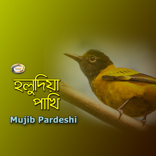 Holudia Pakhi cover art