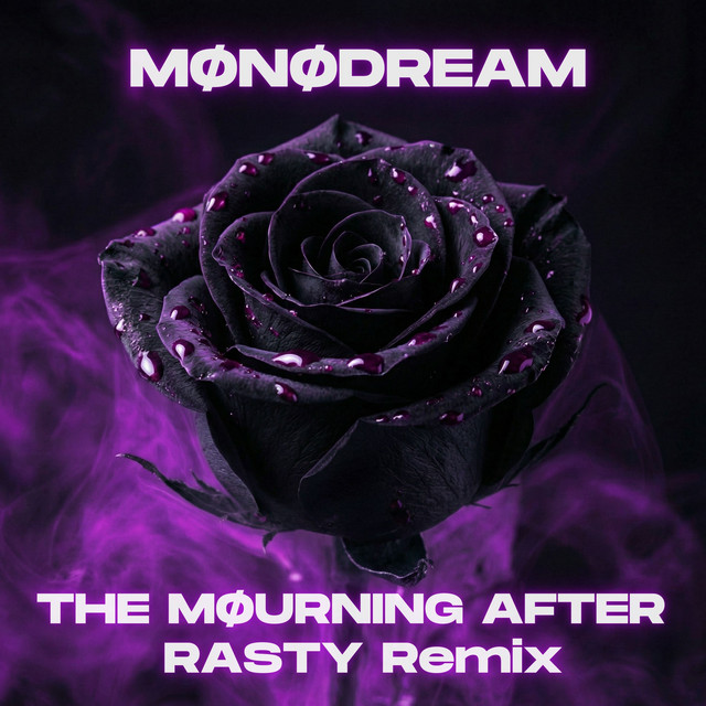 THE MØURNING AFTER - RASTY Remix