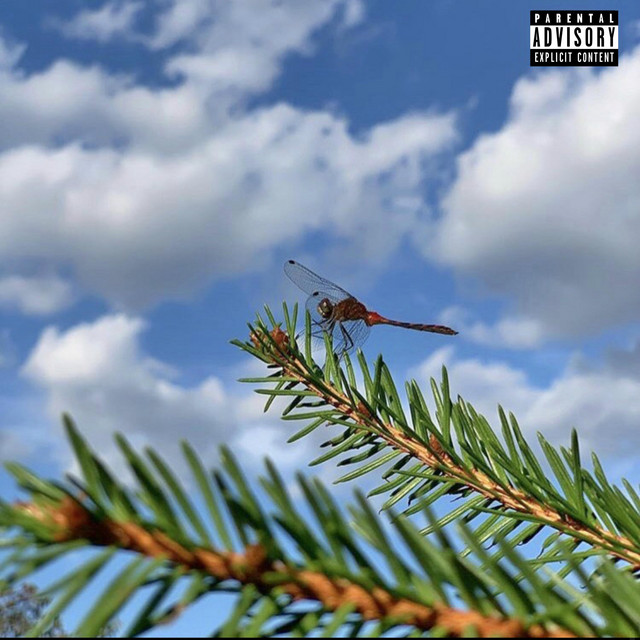 Life in Colors cover art