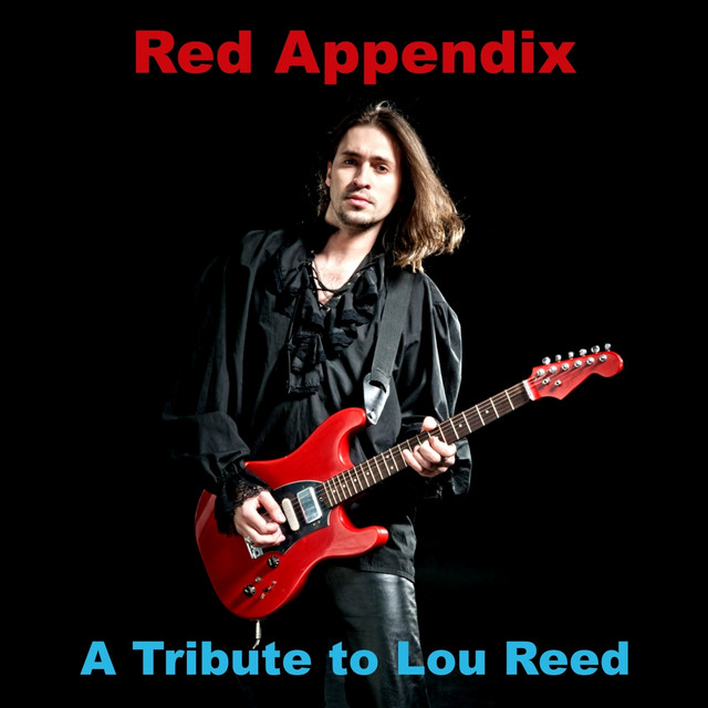 洋楽 A Tribute to Lou Reed A Tribute To Lou Reed - Album by Red Appendix | Spotify