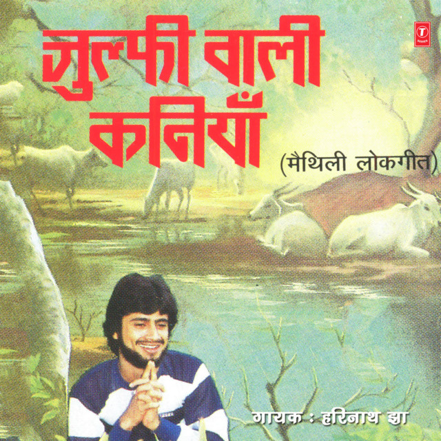 Julfi Wali Kaniyan cover art