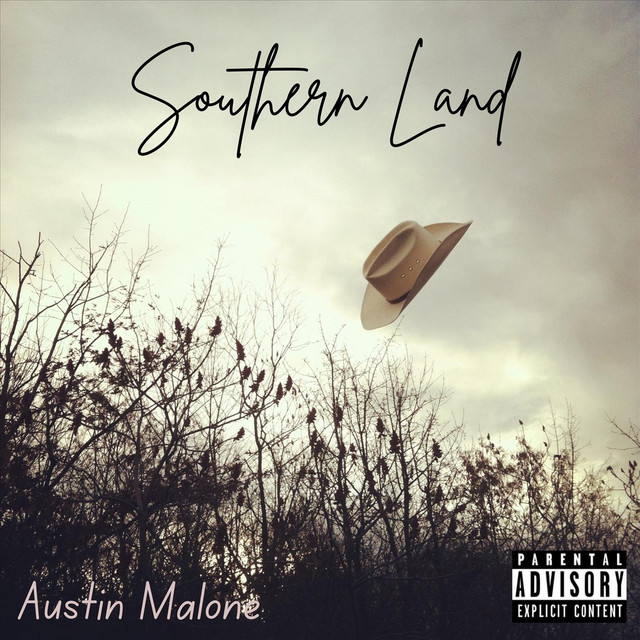 Southern Land cover art