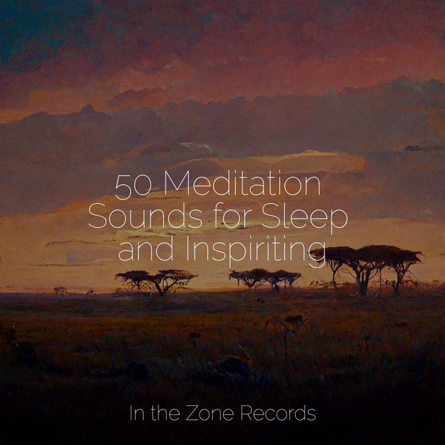 50 Meditation Sounds for Sleep and Inspiriting - Album by Relaxamento ...