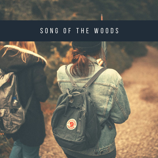 Song of the Woods cover art