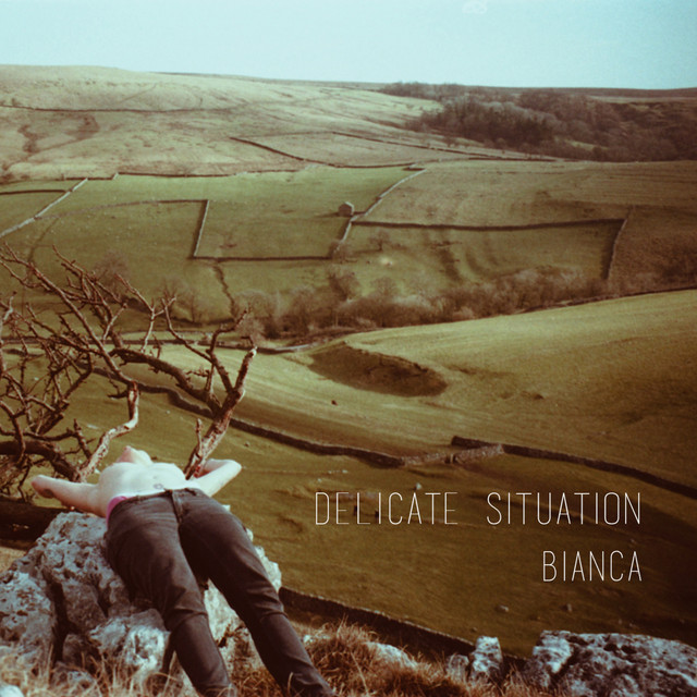 Delicate Situation cover art