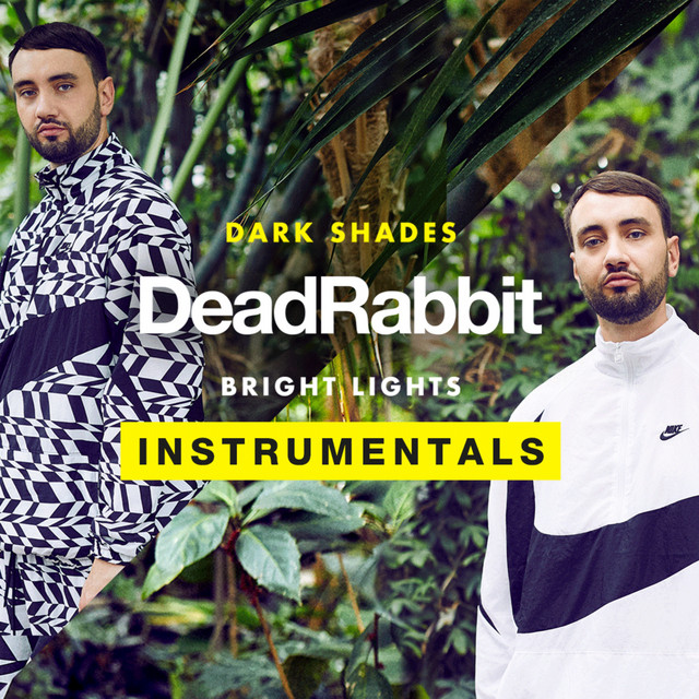Dark Shades / Bright Lights (Instrumentals) cover art