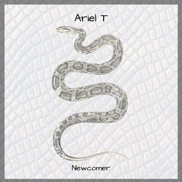 Newcomer cover art