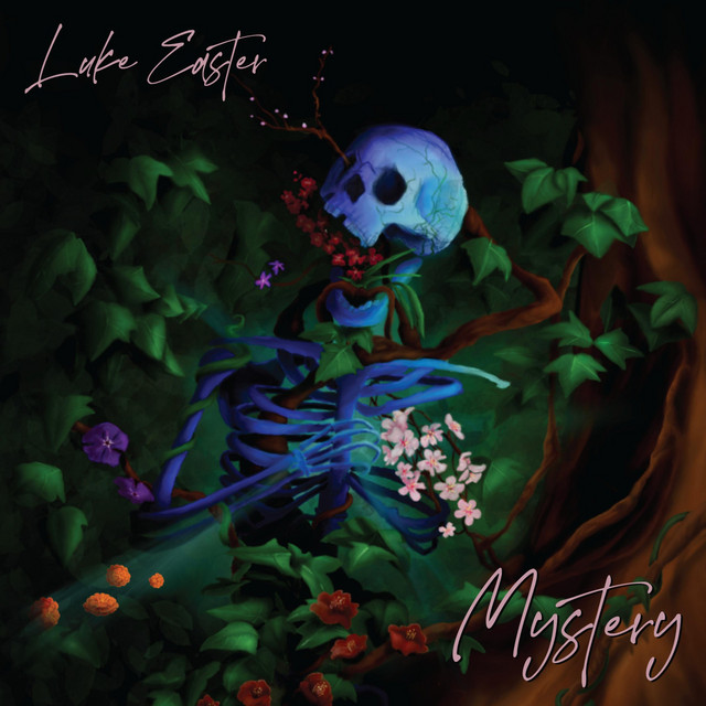 Mystery cover