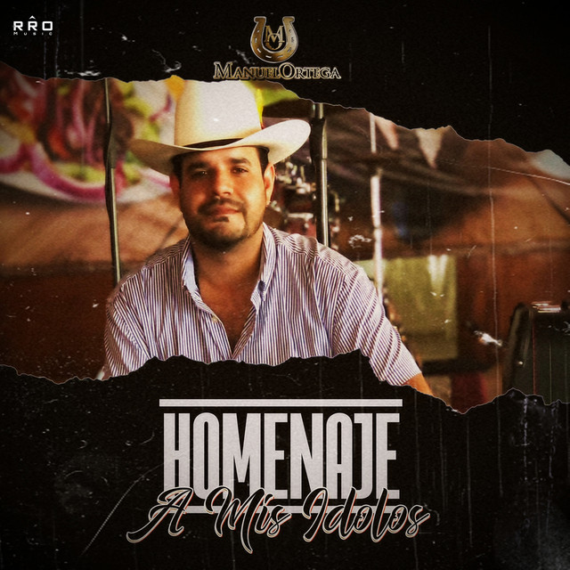 Homenaje A Mis Ídolos - En Vivo cover art