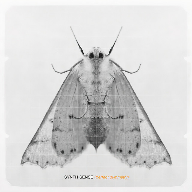 Perfect Symmetry cover