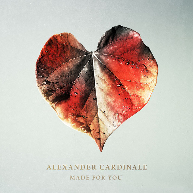 Made for You cover