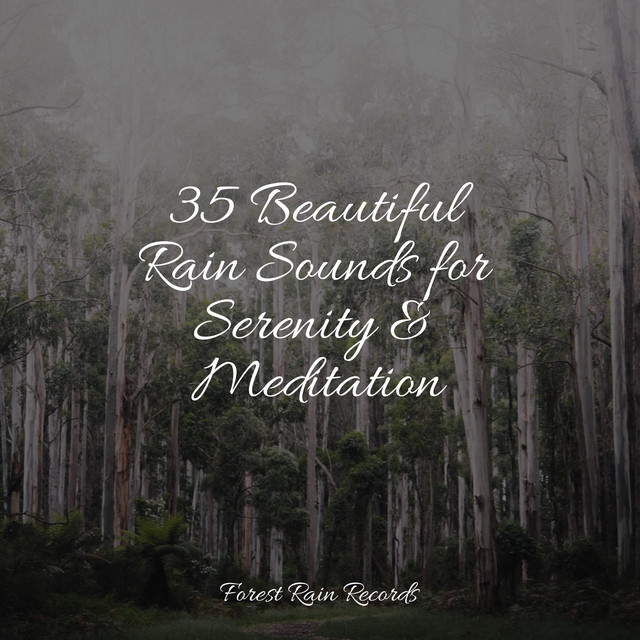 35 Beautiful Rain Sounds for Serenity & Meditation - Album by Nature ...