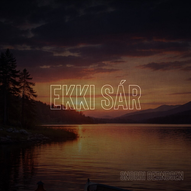 Ekki sár album image