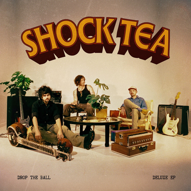 Drop The Ball cover art