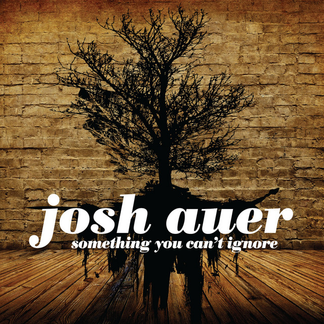 Something You Can't Ignore cover art