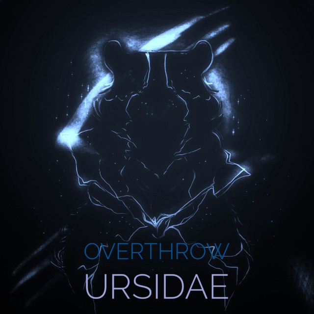 Ursidae Photo