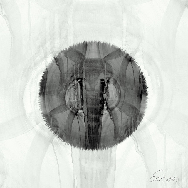 Expedition, Vol. 3 (Echoes) cover art