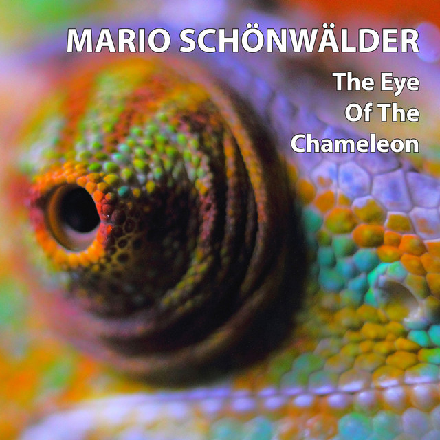 Mario Schönwälder Photo
