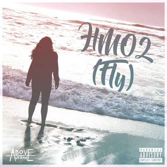 Hm02 (Fly) cover art
