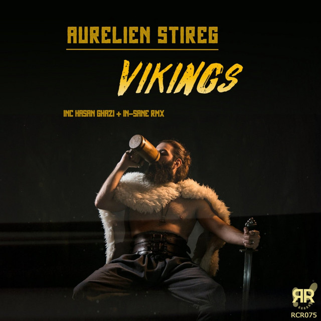 Vikings - Original Mix cover art