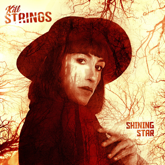 Shining Star cover art