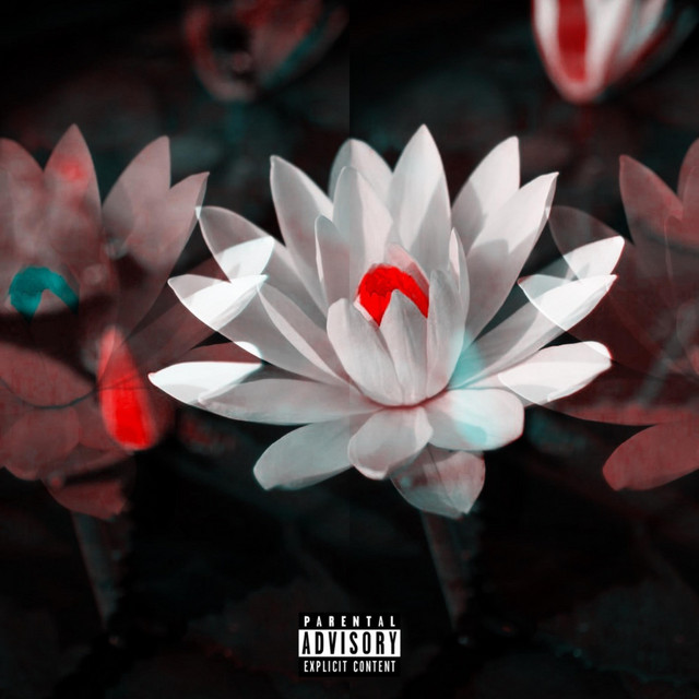 White Lotus cover art