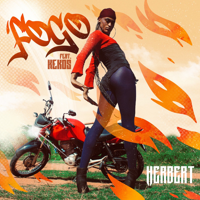 Fogo cover art
