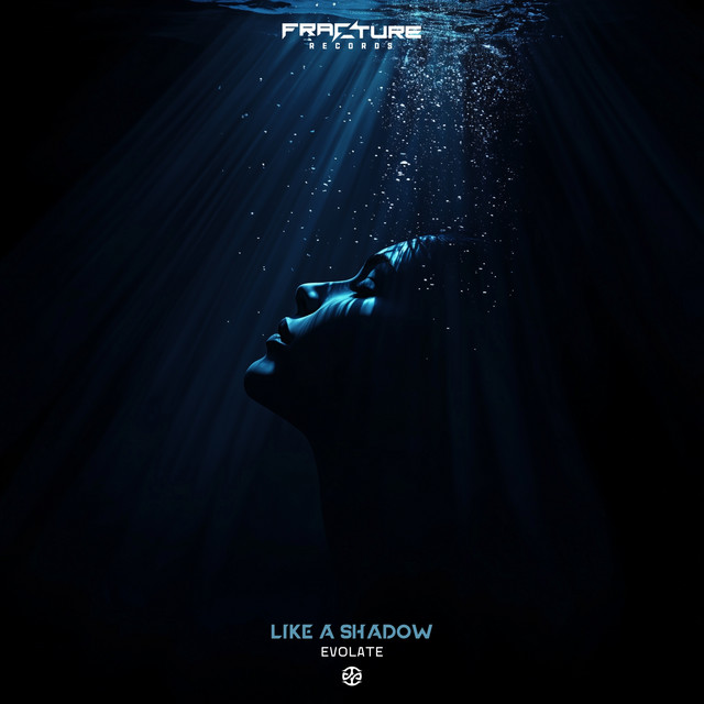 Like a Shadow cover art