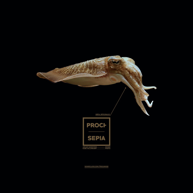 Sepia cover