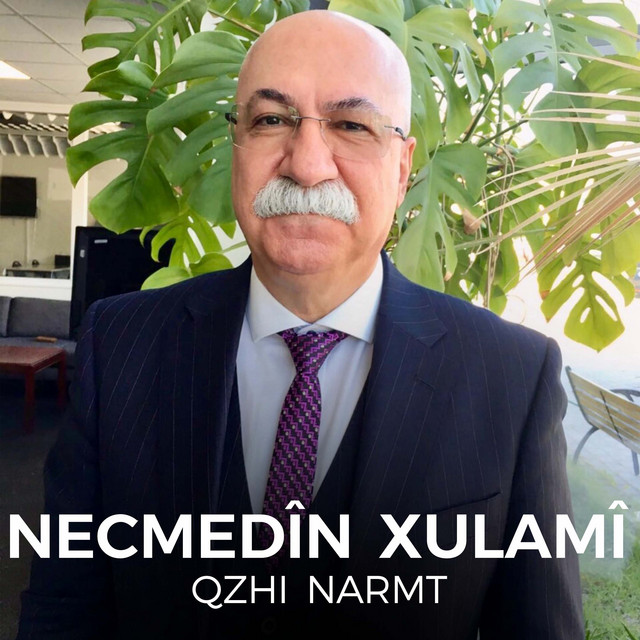 Qzhi Narmt cover art